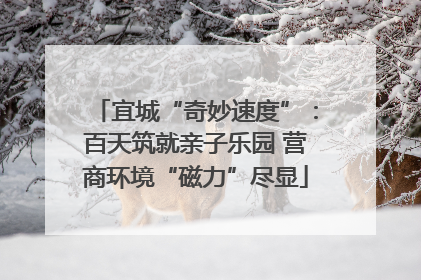 宜城“奇妙速度”：百天筑就亲子乐园 营商环境“磁力”尽显